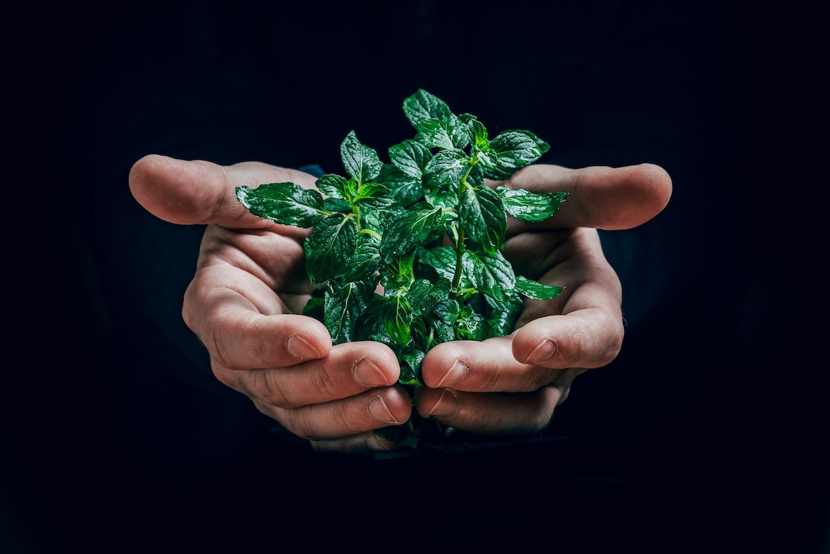 Le green cloud : mythe marketing ou vraie transition durable ?